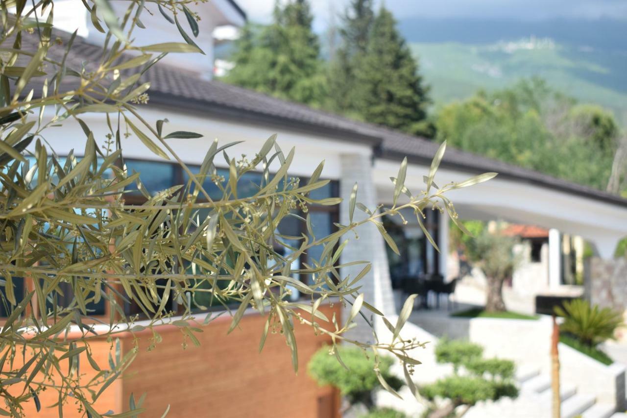 Chateau Linza Resort Tiranë Luaran gambar