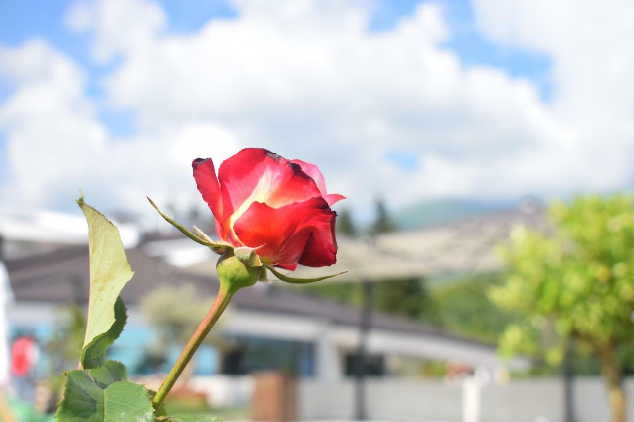 Chateau Linza Resort Tiranë Luaran gambar